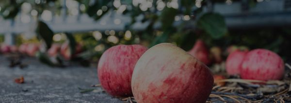 Не убить продажи в компании