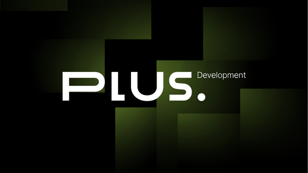 Как при помощи аналитики работать с ЦА, разобраться с ценовой политикой, сократить ДРР в 2 раза и увеличить продажи: кейс Plus Development